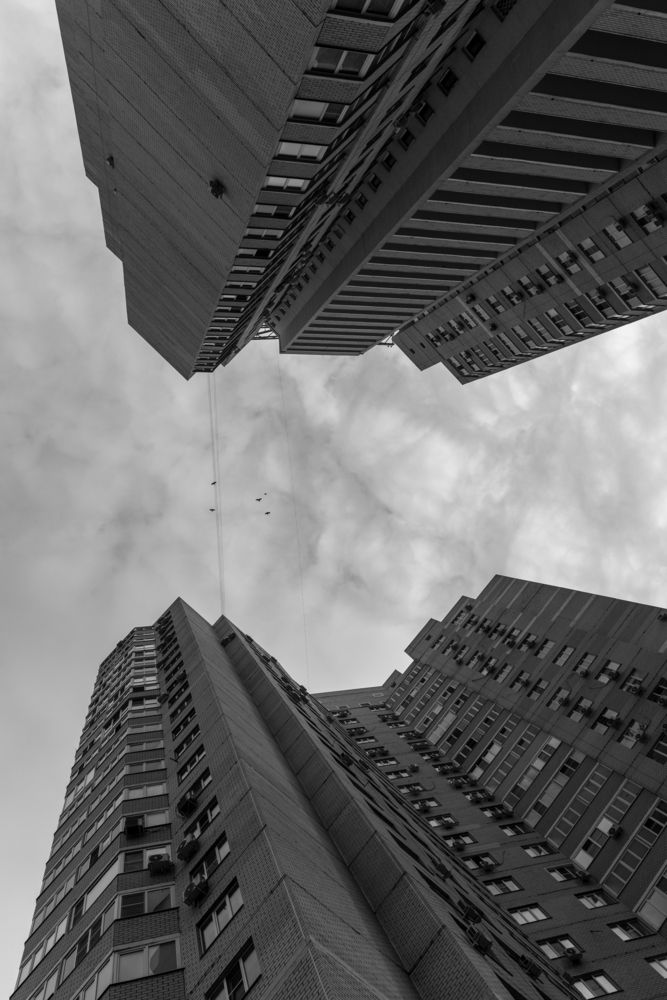 Каменные джунгли