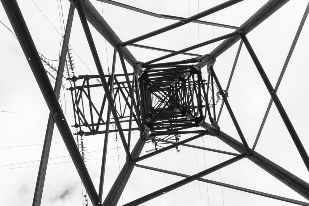 Фотография автора Светлана Поливанова