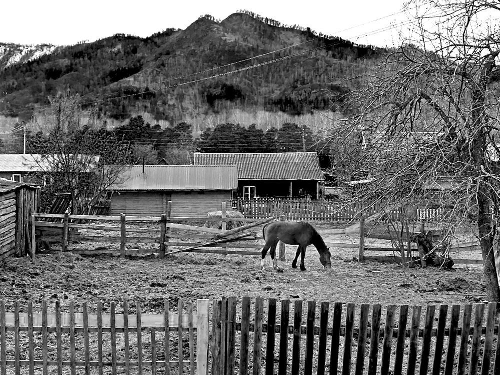 Photograph by Альфия Агзами