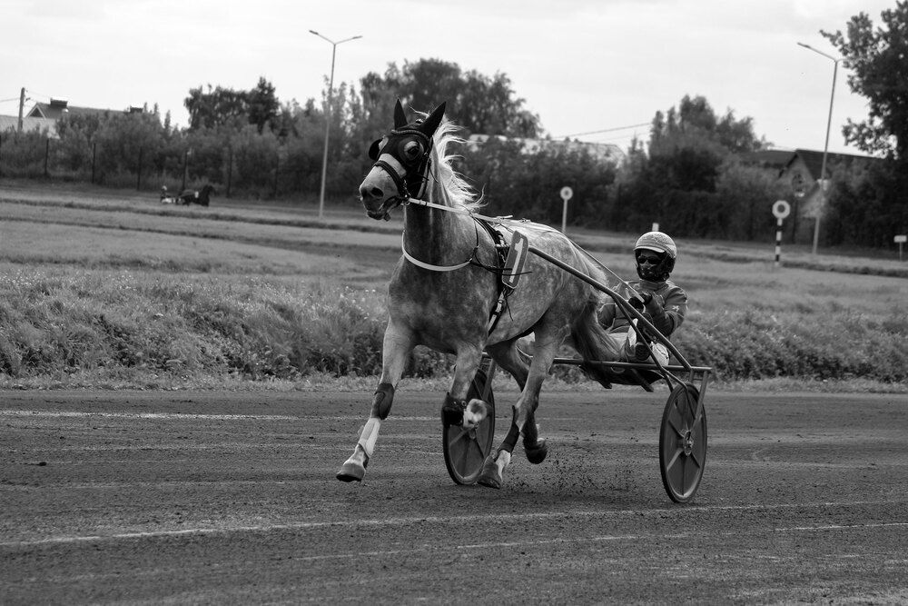 Фотография автора Светлана Долотова