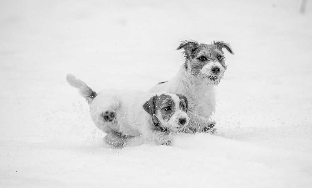 Photograph by Елена Данченко