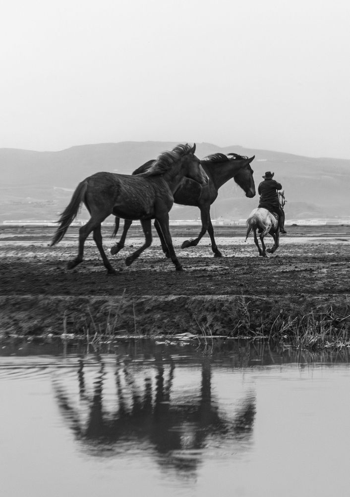 Photograph by MOJDEH NOROUZI