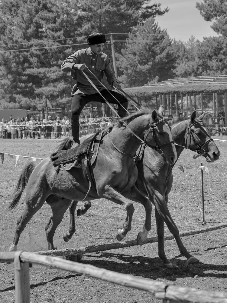 Photograph by Сергей Конюшенко