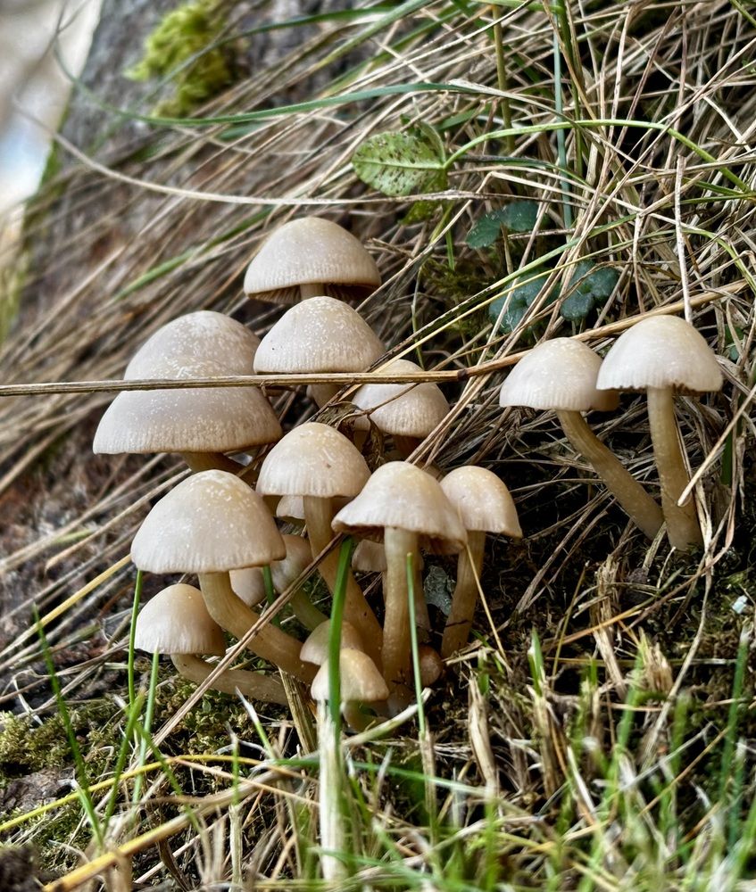 Фотография автора Galina