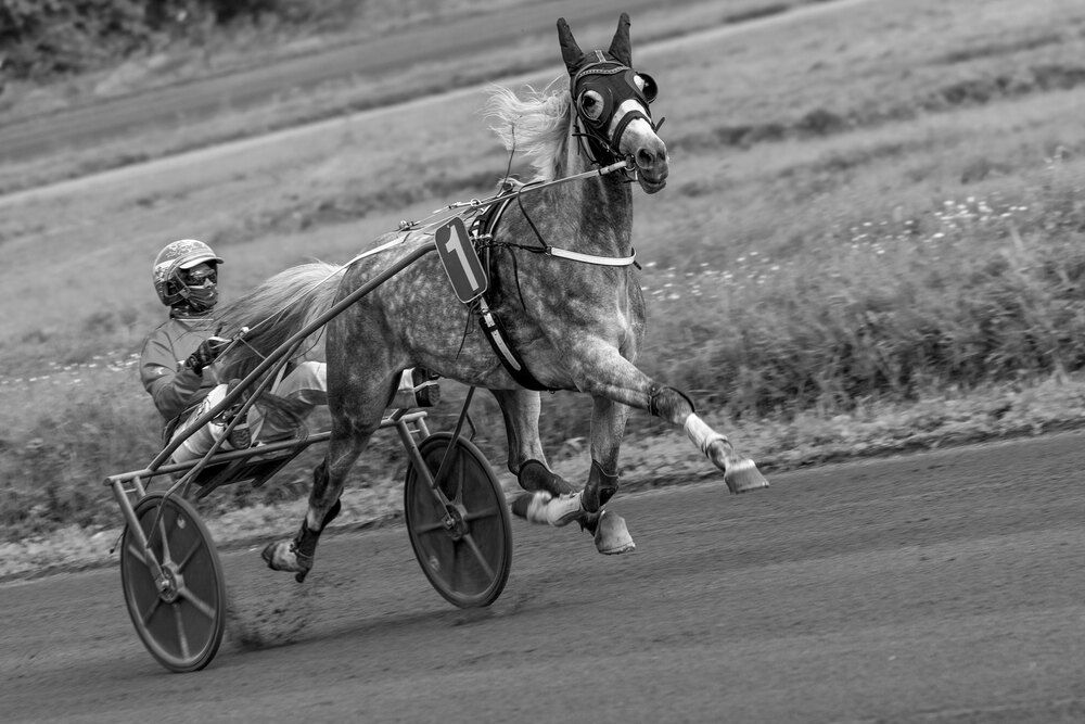 Photograph by Светлана Долотова