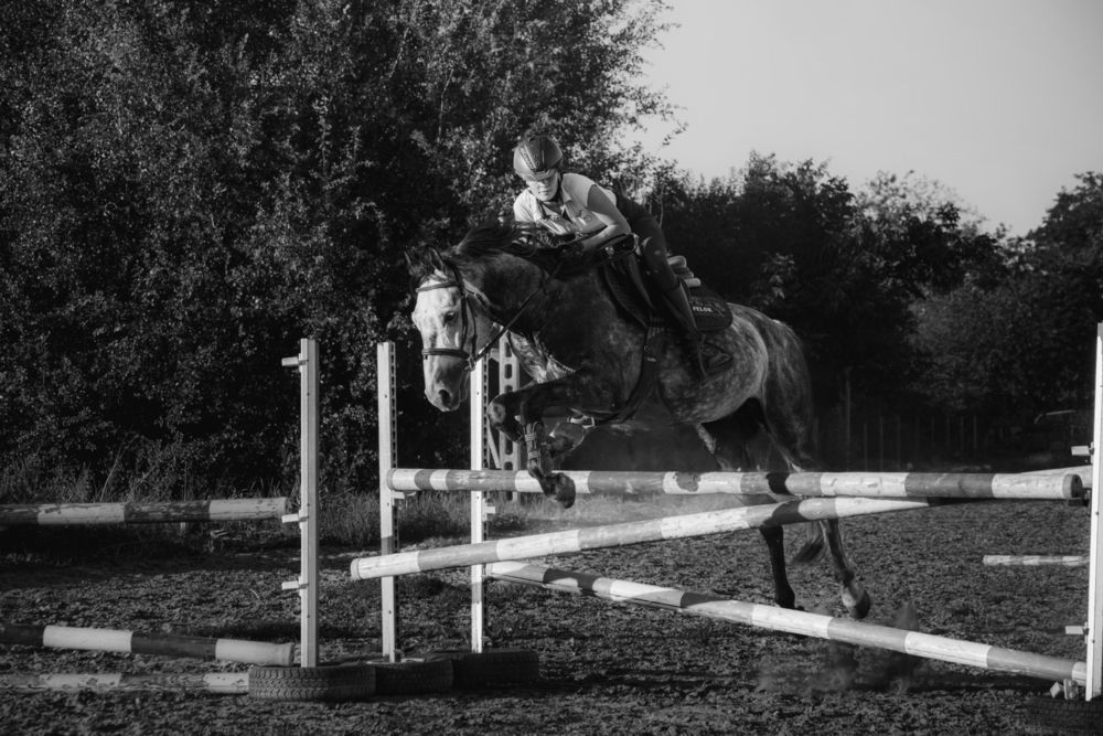 Photograph by Veronika Biró