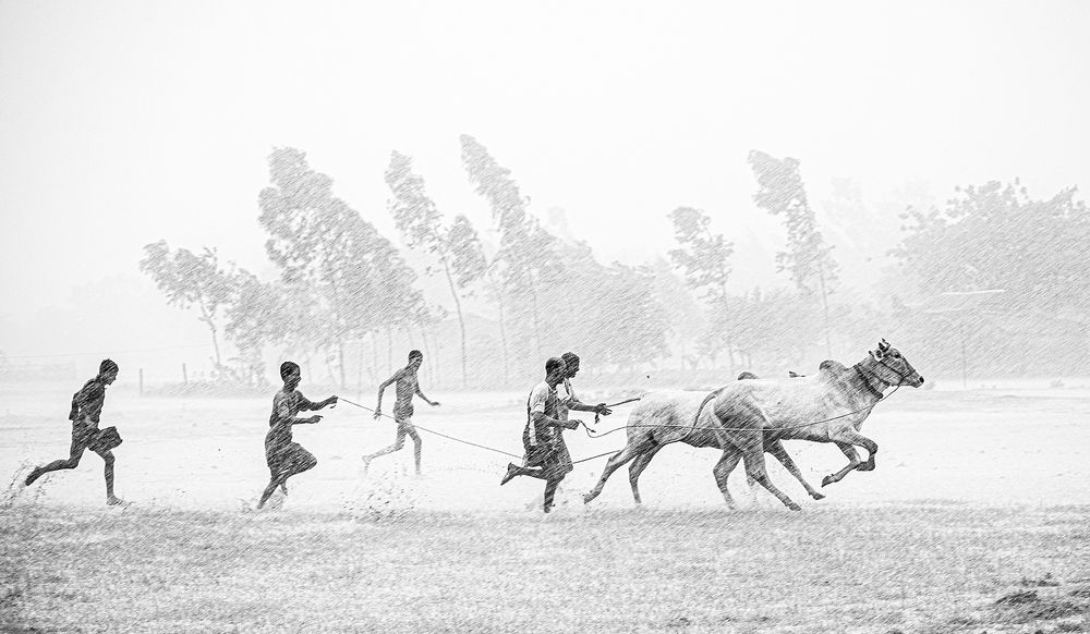 Photograph by Tanmoy Das