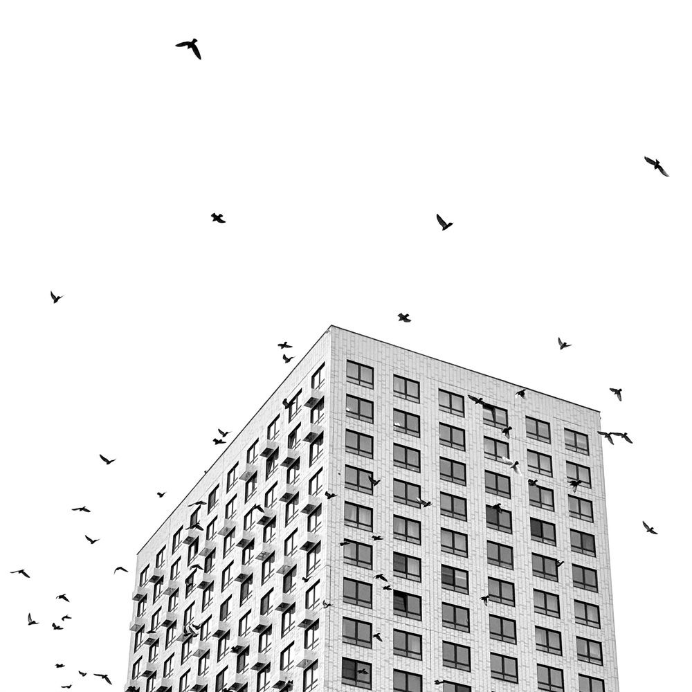 Photograph by Ольга Кушнарева