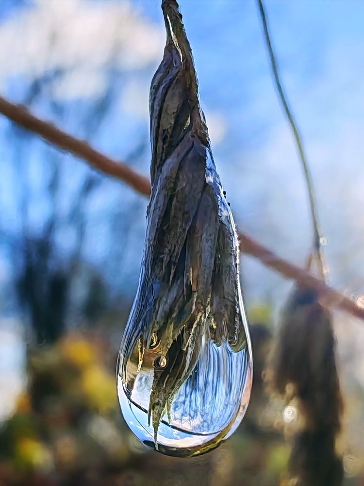 Photograph by Сергей Янкин