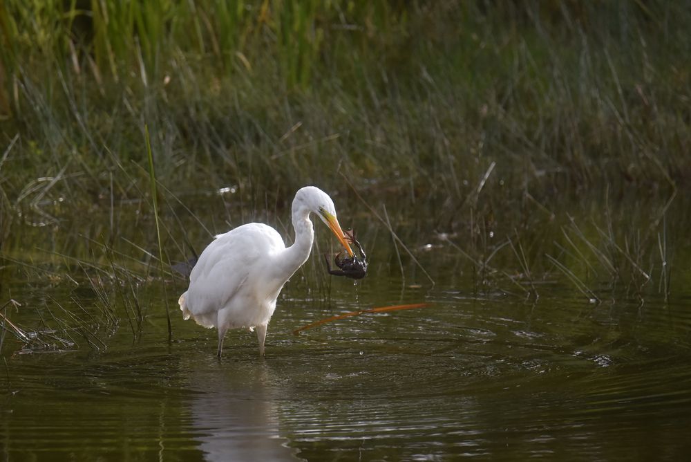 Photograph by Ljudmilla Pavljutsenkova
