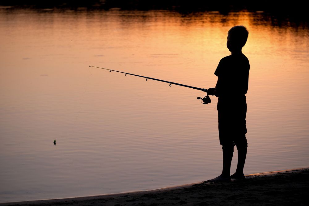 Фотография автора Васильев Роман