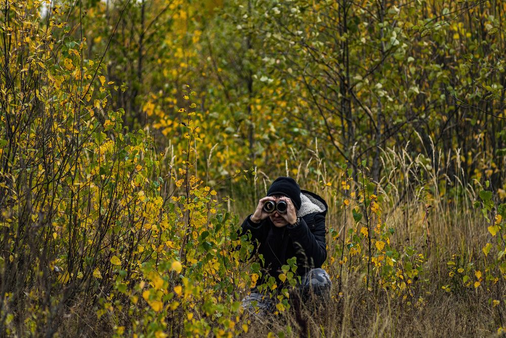 Photograph by Алексей Чеботарев
