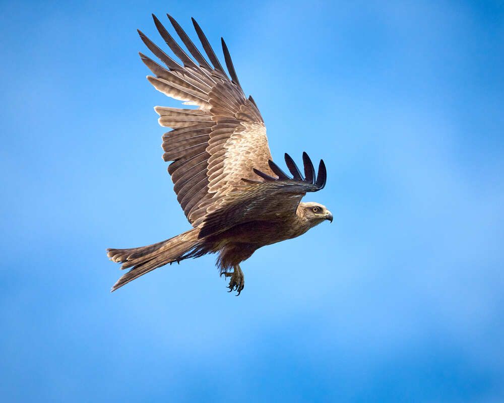 Photograph by Mikhail Khmelevskiy