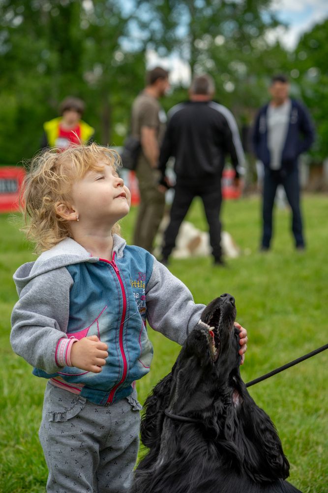 Фотография автора Ирина Зайцева