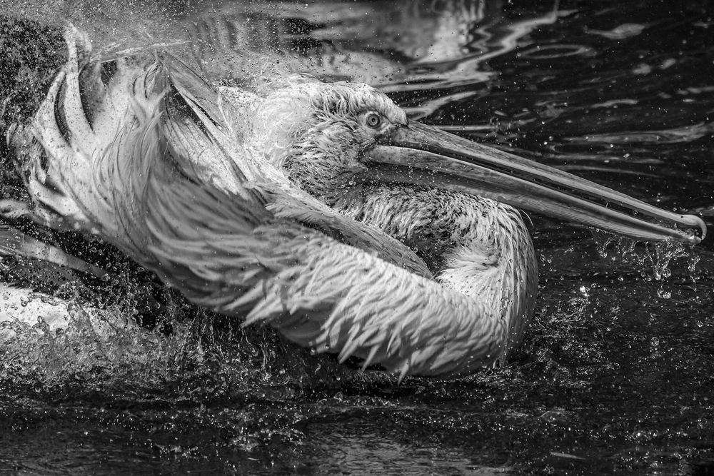 Photograph by Екатерина Якель