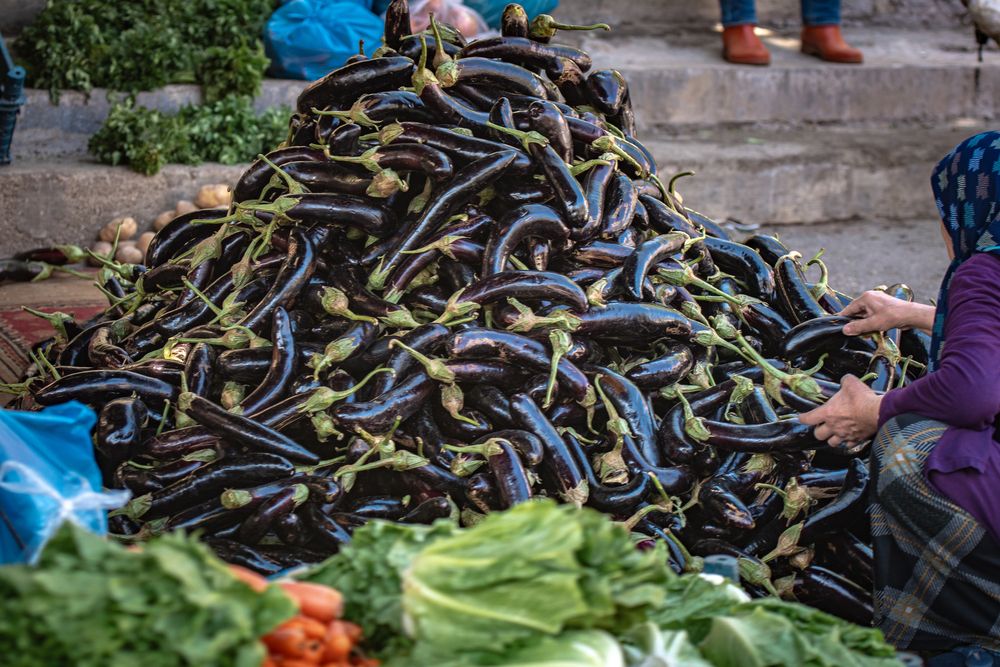 Photograph by Maria Chistova (Pasternak)