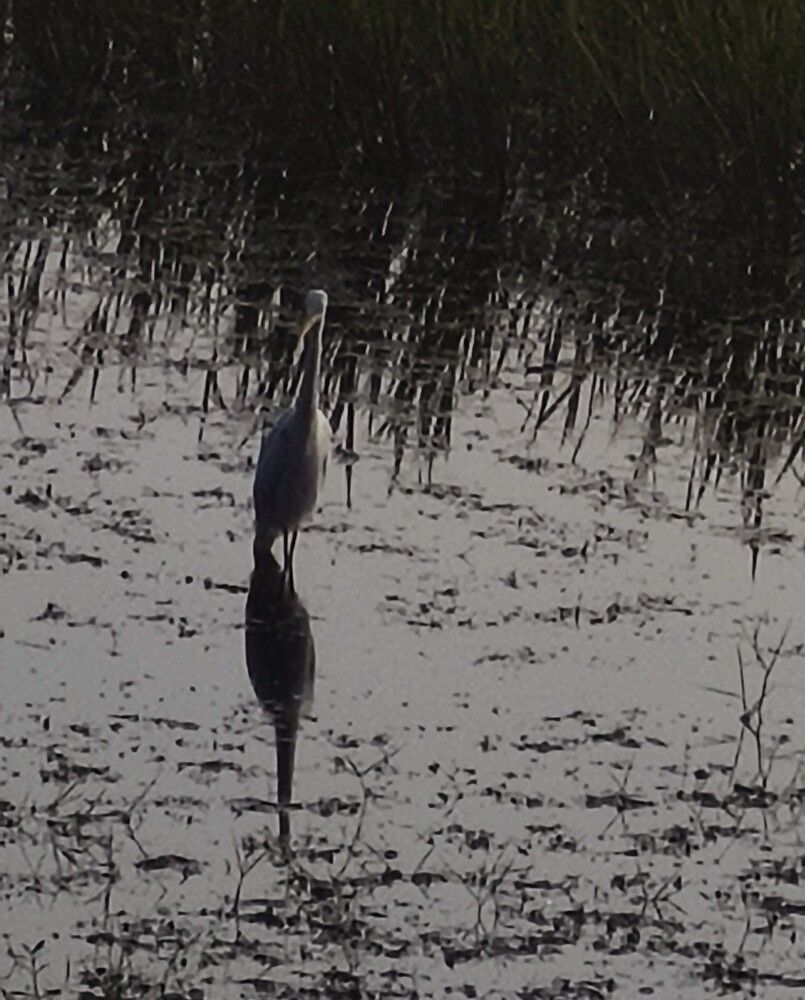 Photograph by samajdwarprasun