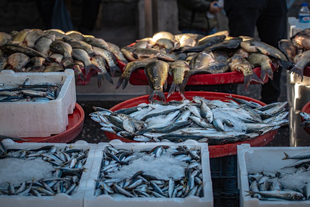 Photograph by Maria Chistova (Pasternak)