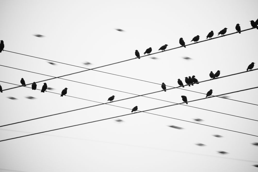 Photograph by ILIAS DIMITRIOU