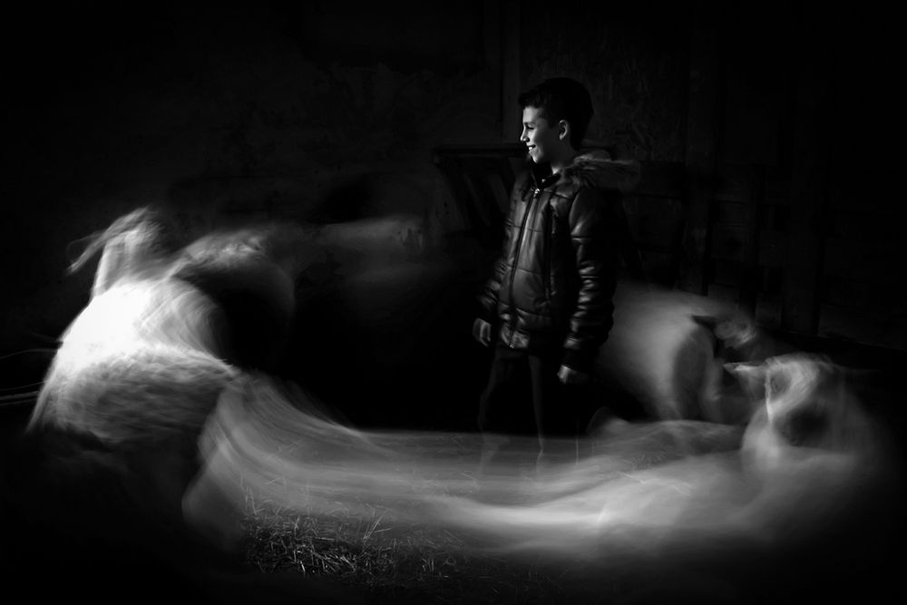 Photograph by Наталья Суслова