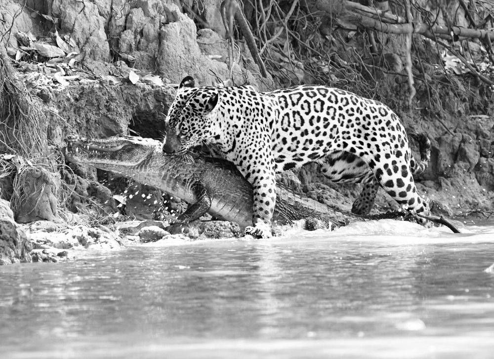 Photograph by Игорь Щербаков