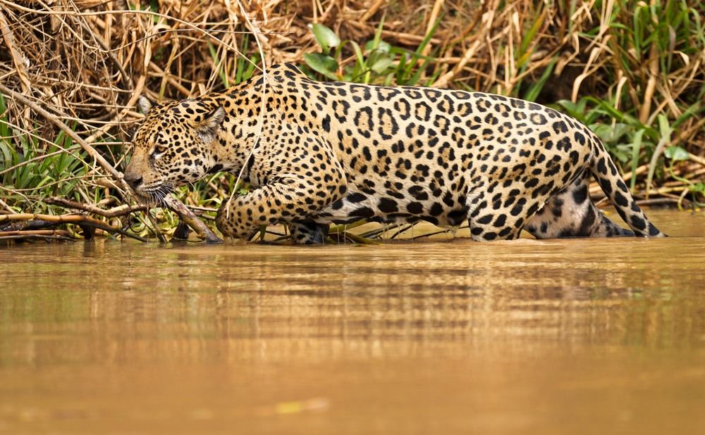 Photograph by Игорь Щербаков