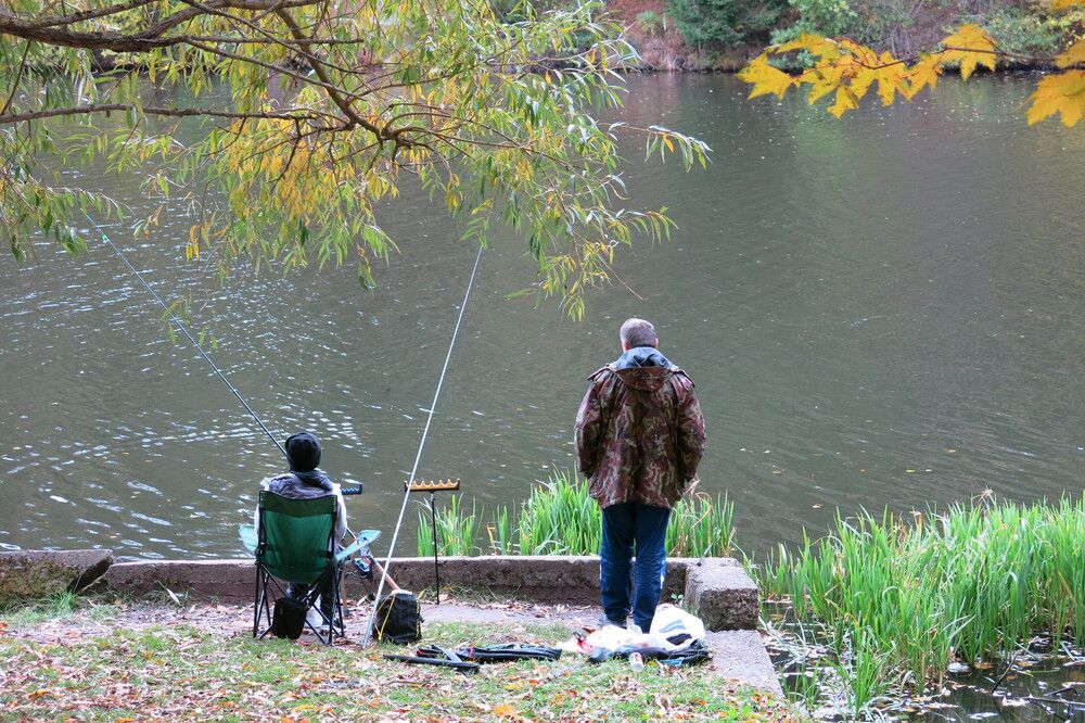 Photograph by ЭЛЬМИРА  ИСМАИЛОВА