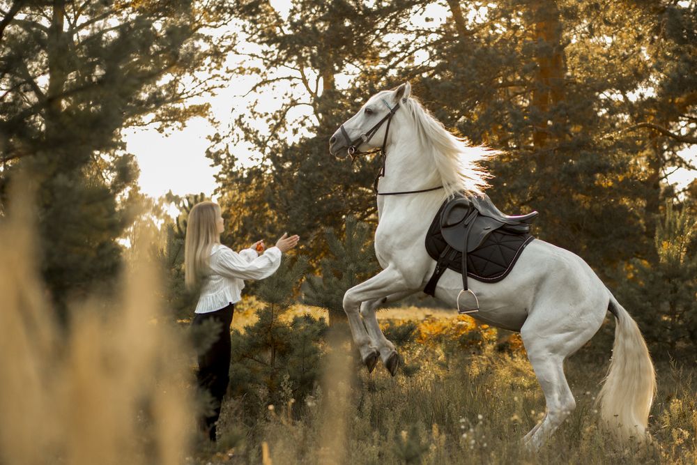 Фотография автора Наталья
