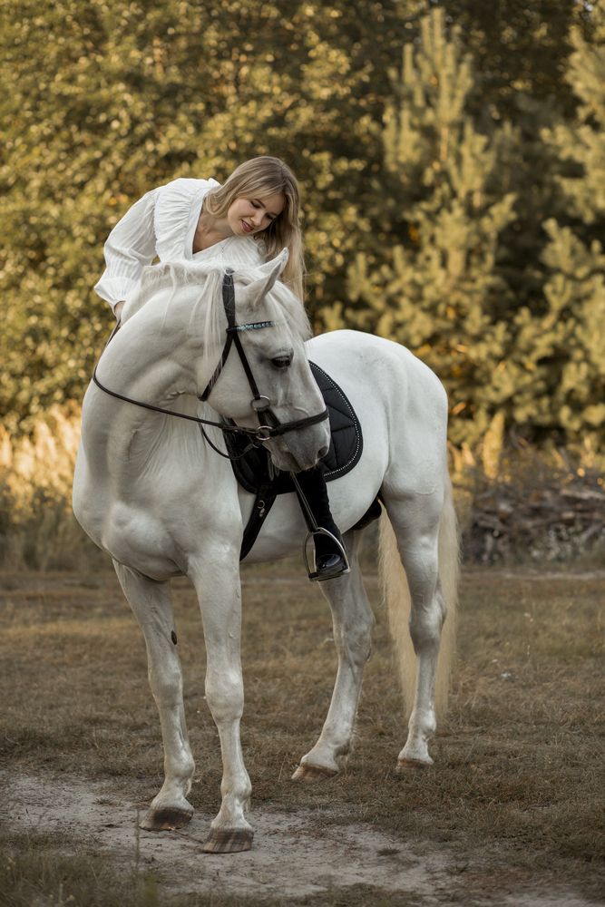 Любовь к лошади