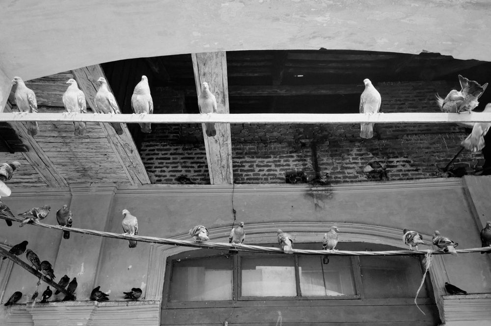 Photograph by Максим Михайлов