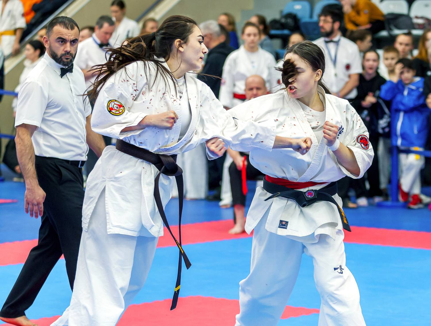 Фотография #12831834