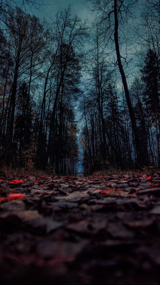 Photograph by Ildar Huzhin