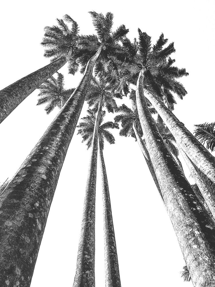 Фотография автора Walfrido Alexandre