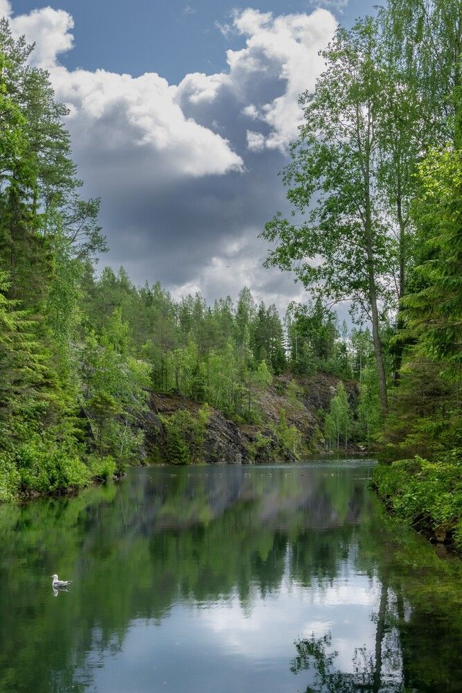 Photograph by Александр Порохов