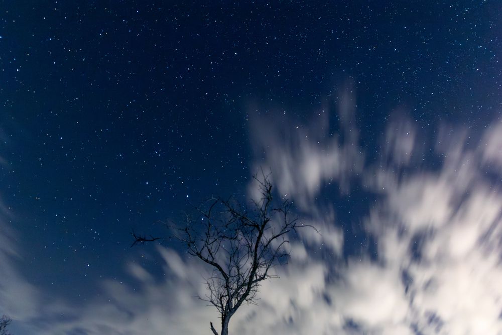 Фотография автора Сергей Синякин