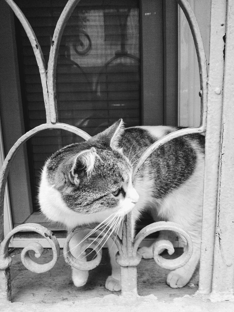 Фотография автора Liliya Slavcheva