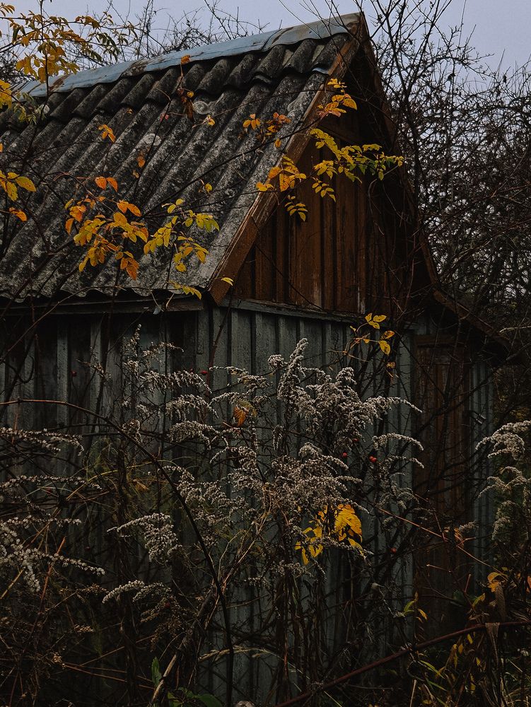 Фотография автора Кристина Альшанская