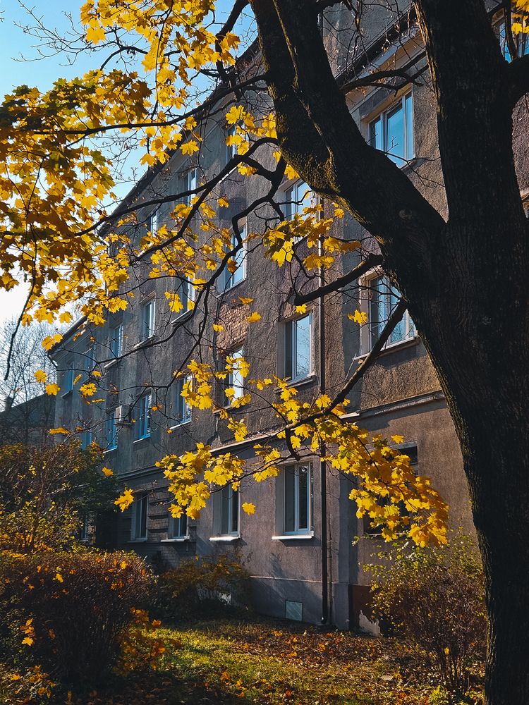 Фотография автора Кристина Альшанская