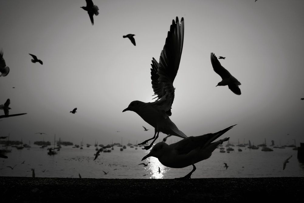 Photograph by Kriti Aggarwal