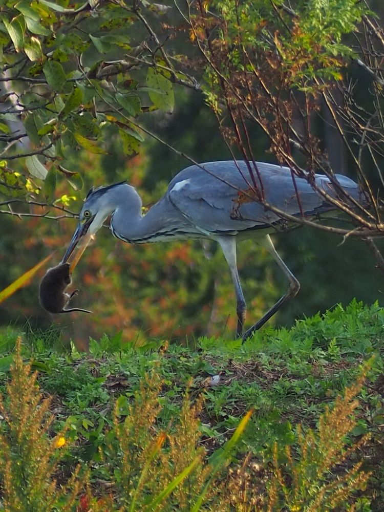 Photograph by Ольга Панкова