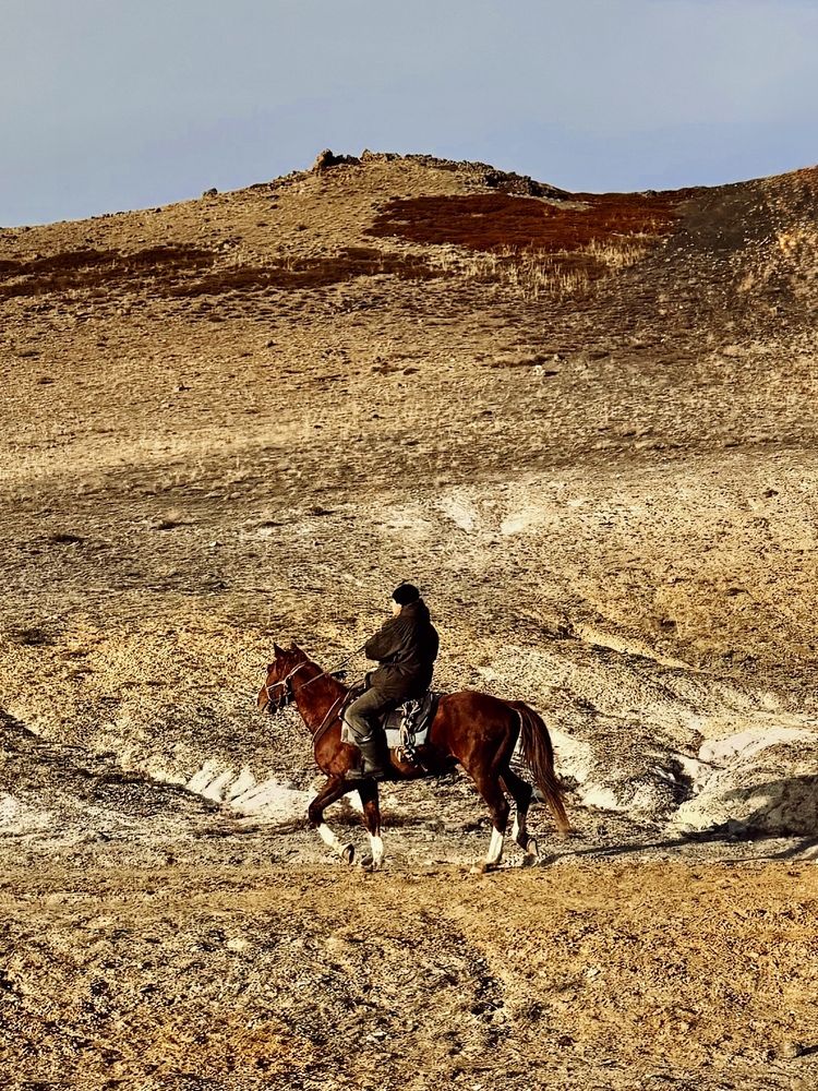 Фотография автора Галина Шиманцова