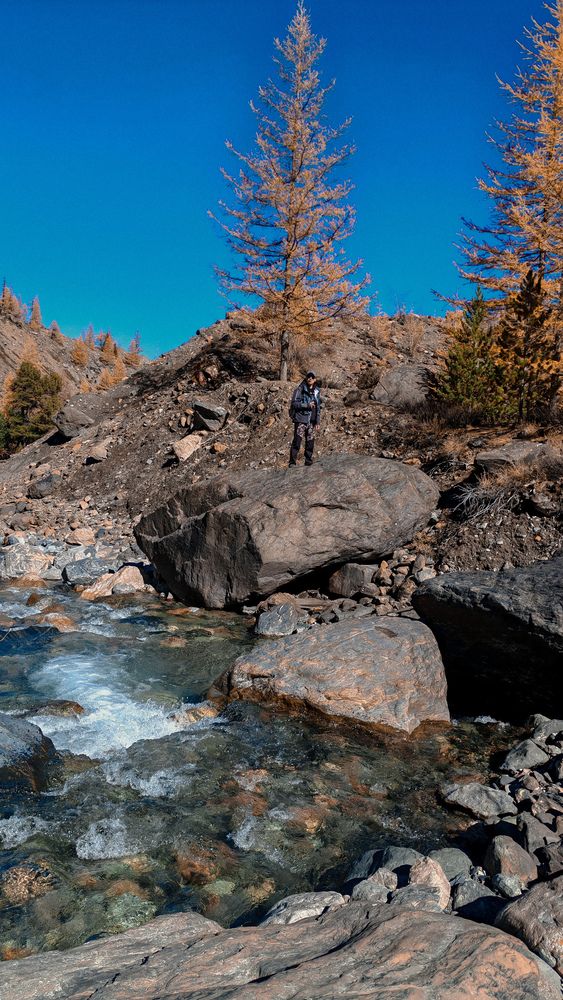 Фотография автора Эльвира Чернова