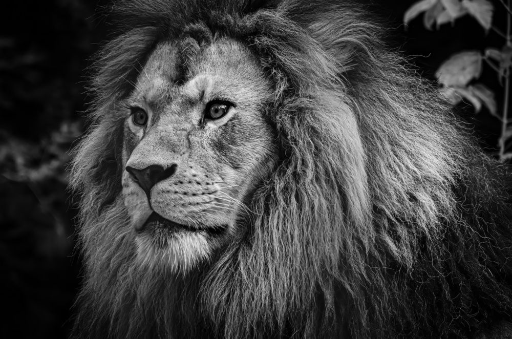 Photograph by Елена Берсенёва