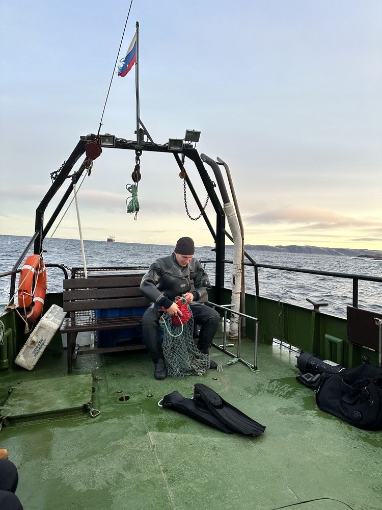 Photograph by Светлана Ионова