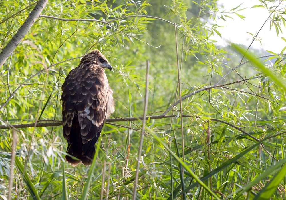 Photograph by Панюшкин Андрей