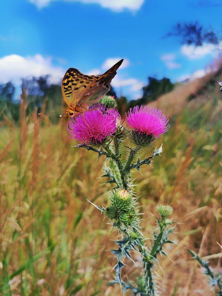 Photograph by Светлана Смирнова