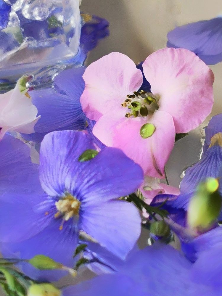 Photograph by Светлана Смирнова