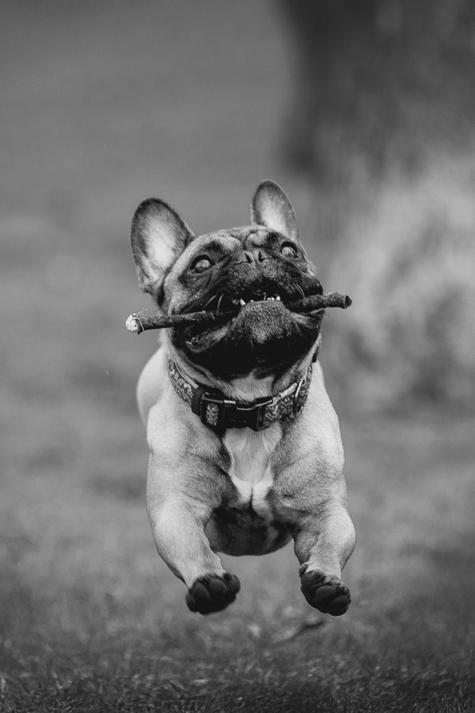 Photograph by Елена Самусенкова