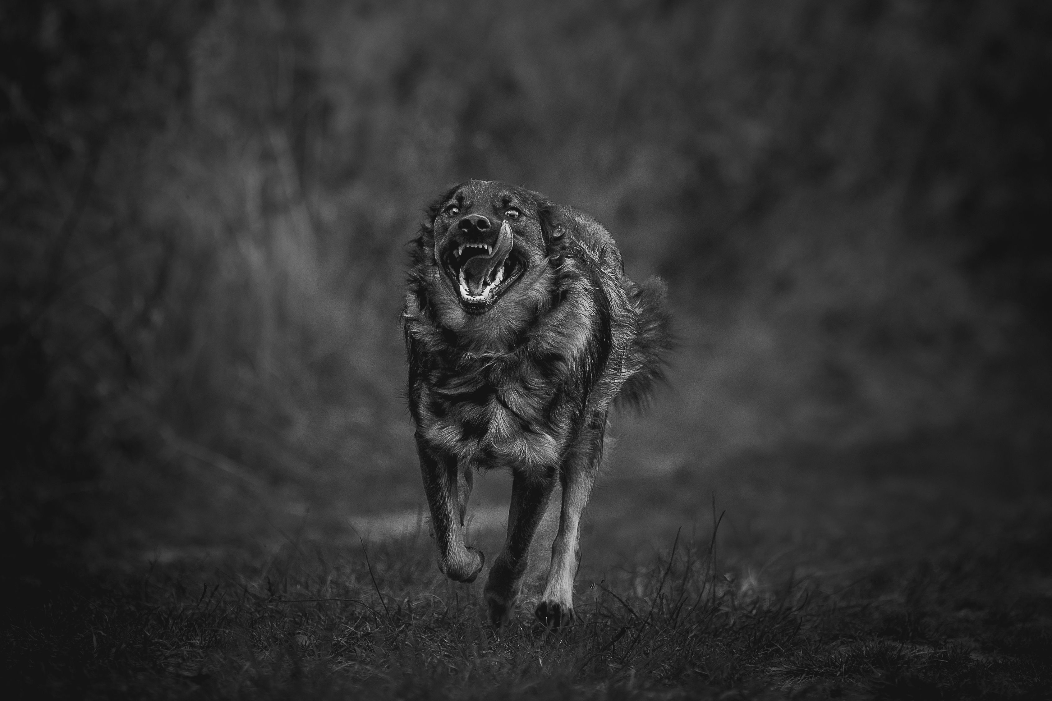 Photograph by Елена Самусенкова