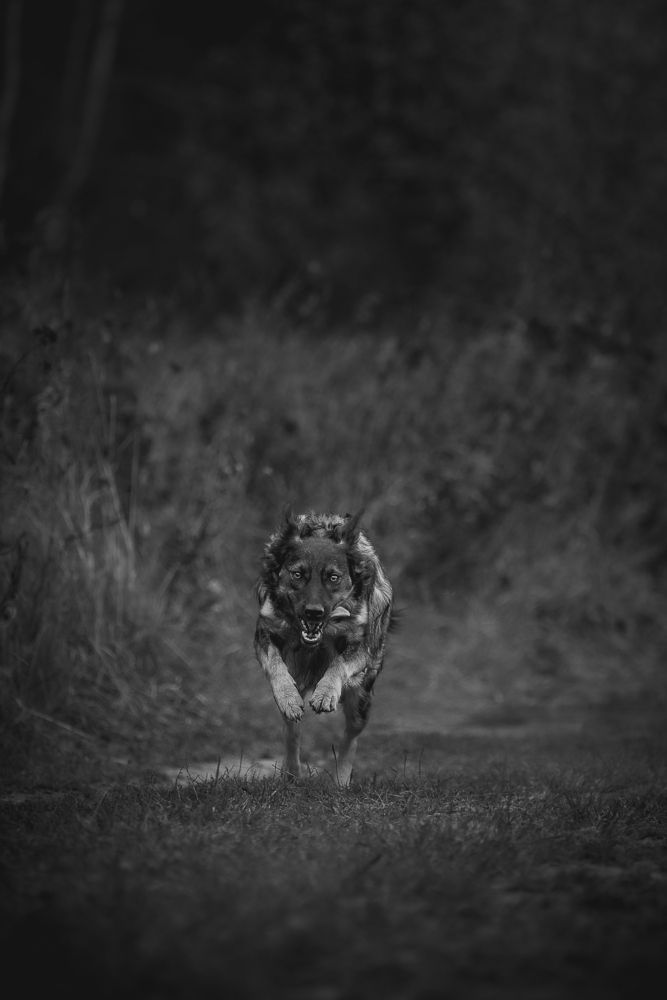 Photograph by Елена Самусенкова